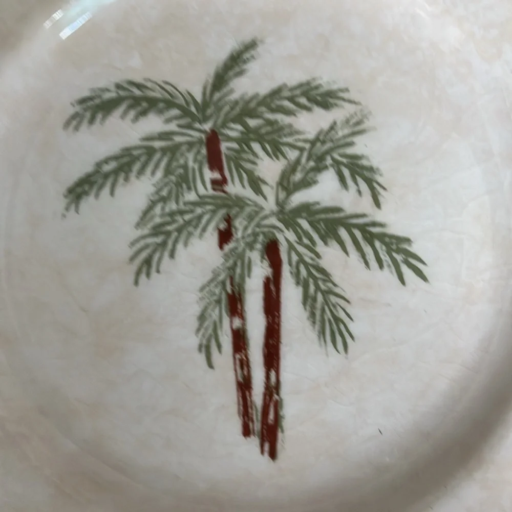 5 Pier 1 Ironstone Sabel palm tree salad plates green scallop trim 8” Brazil